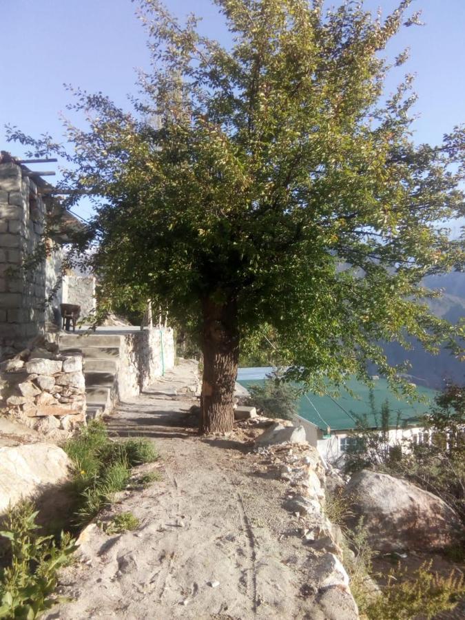 Venus Mountain Resort, Hunza Karimabad  Ngoại thất bức ảnh